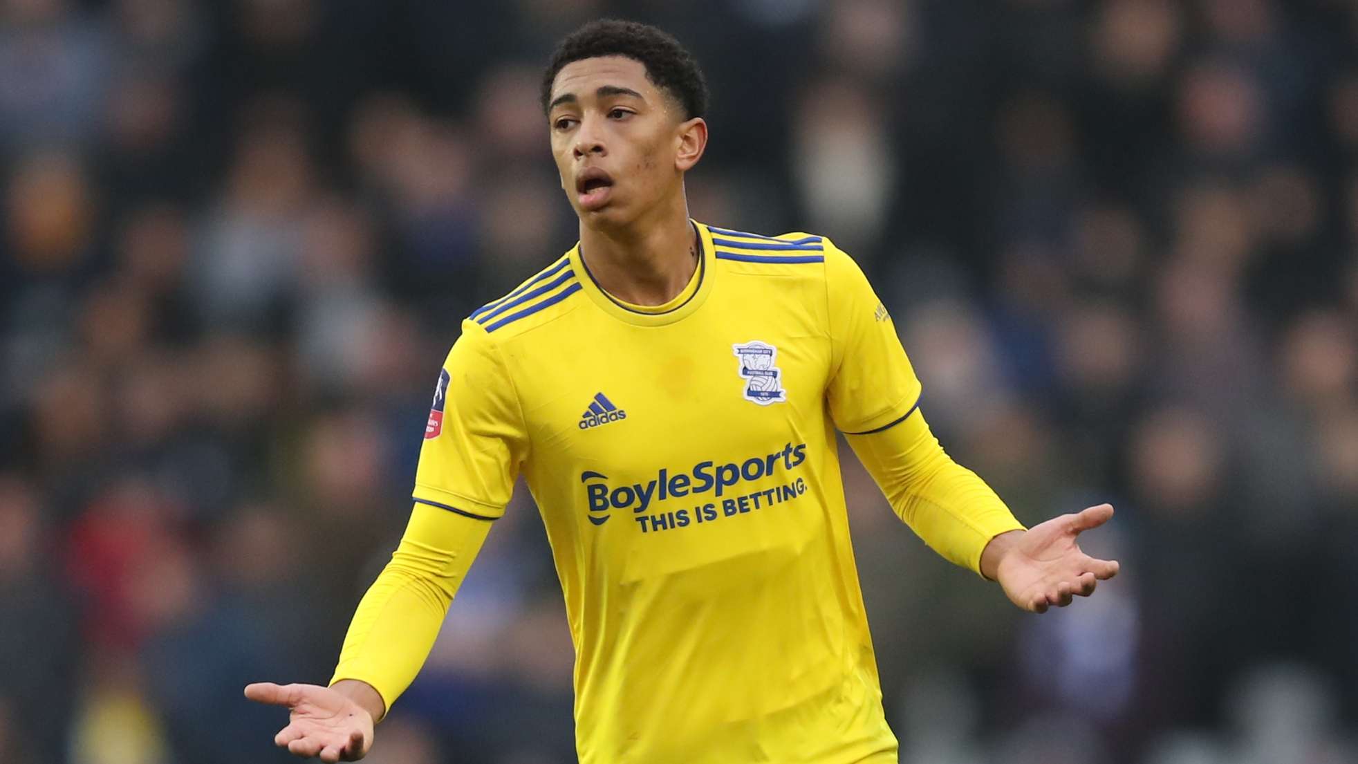 本次锦标赛 本次锦标赛