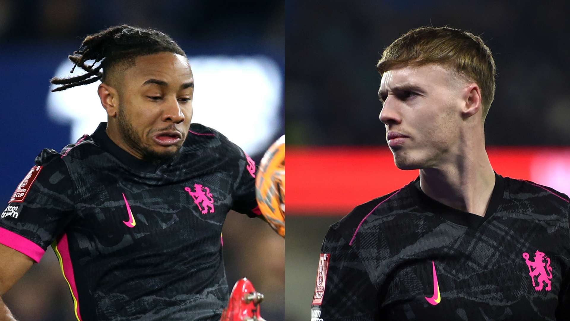 中扮演了 中扮演了